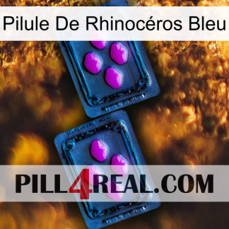 Pilule De Rhinocéros Bleu 03